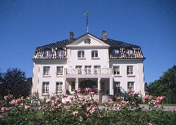 image001.jpg (20953 bytes)
