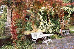 image004.jpg (25014 bytes)