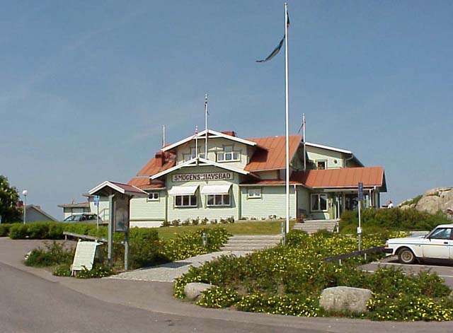 image007.jpg (50668 bytes)