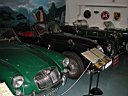 TN_DSCN3340.JPG