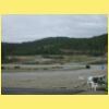 DSCN7810.JPG