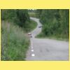 DSCN7798.JPG
