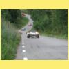 DSCN7799.JPG