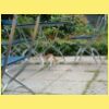 DSCF0055.JPG