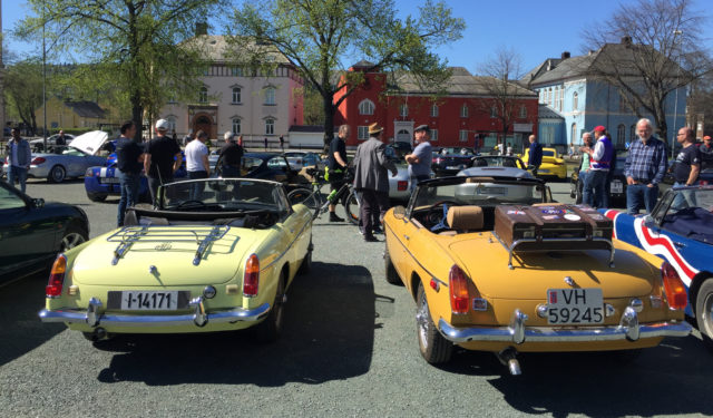 Vårmønstring Trøndelag_2018_Vårmønstring_21